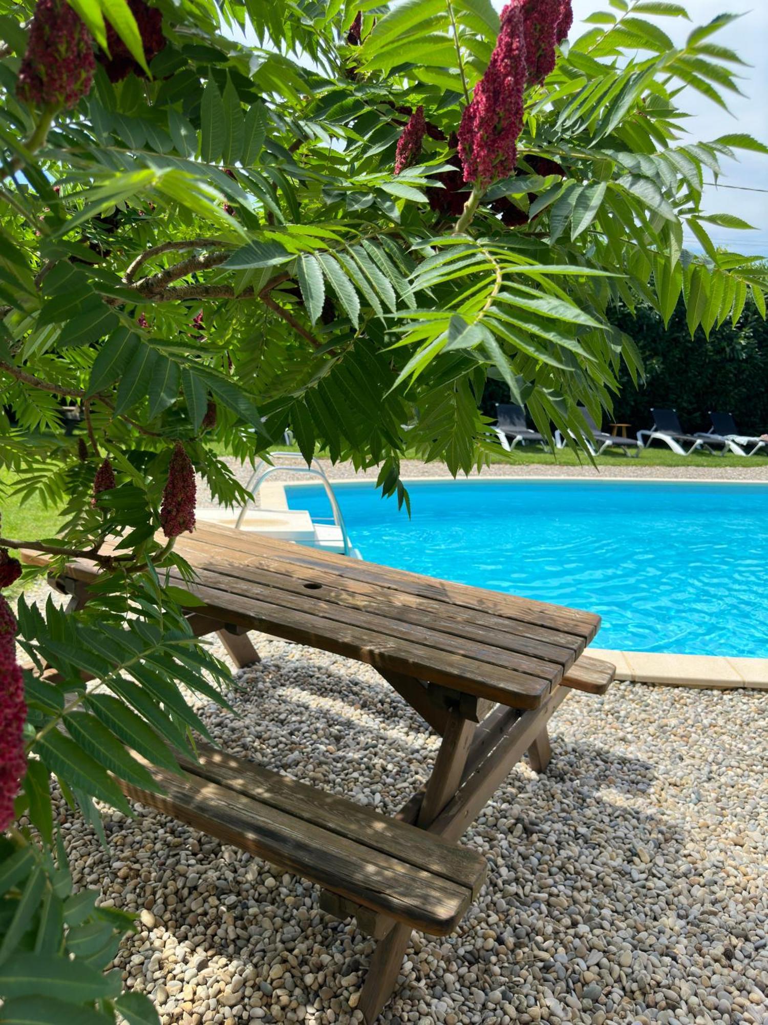 Bed & Breakfast Chateau De La Saone Lens-Lestang